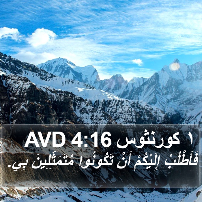 ١ كورنثوس 4:16 AVD Bible Study