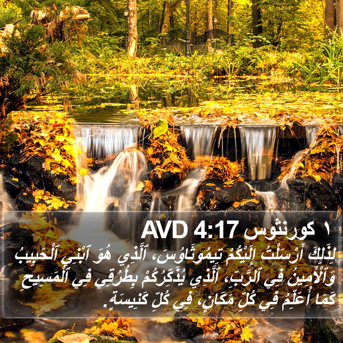 ١ كورنثوس 4:17 AVD Bible Study