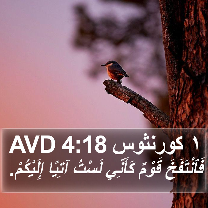 ١ كورنثوس 4:18 AVD Bible Study
