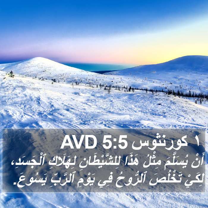 ١ كورنثوس 5:5 AVD Bible Study