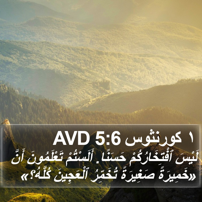 ١ كورنثوس 5:6 AVD Bible Study