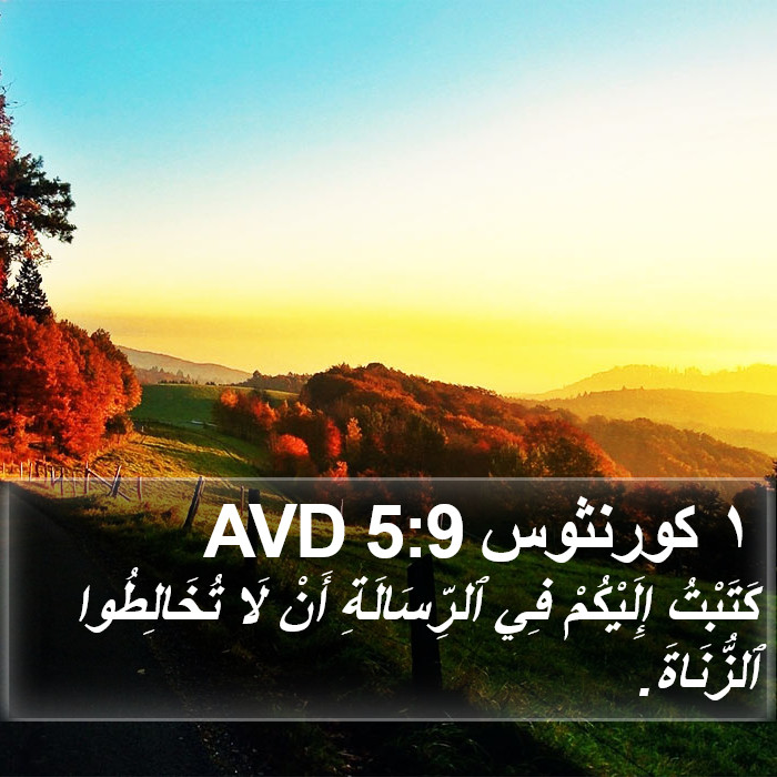 ١ كورنثوس 5:9 AVD Bible Study