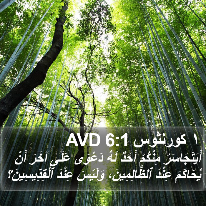 ١ كورنثوس 6:1 AVD Bible Study