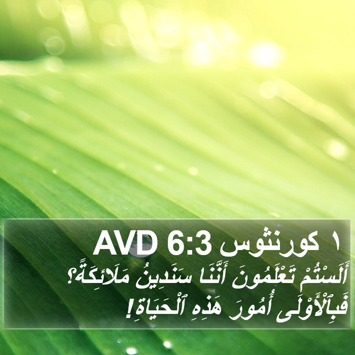 ١ كورنثوس 6:3 AVD Bible Study