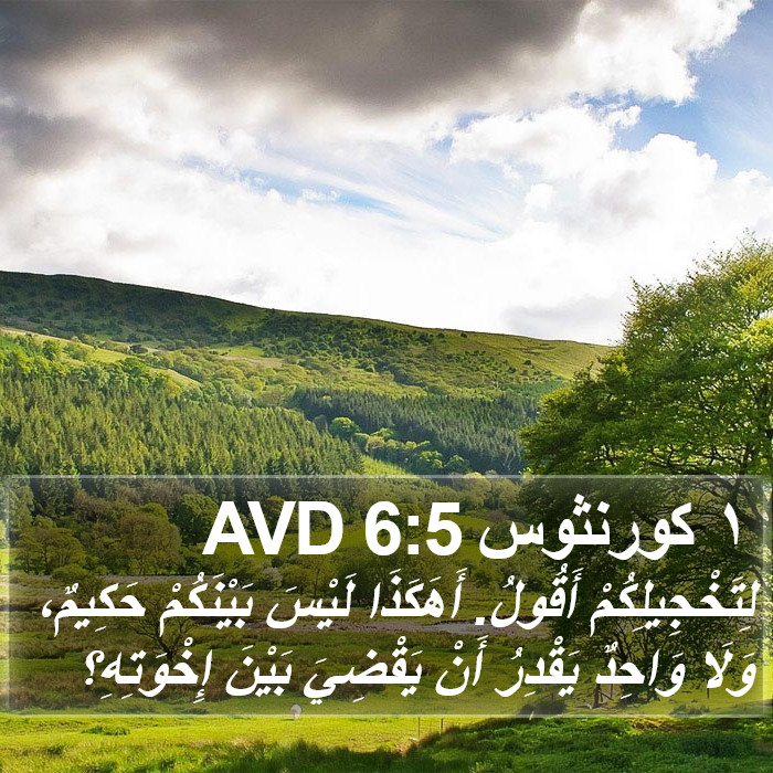 ١ كورنثوس 6:5 AVD Bible Study