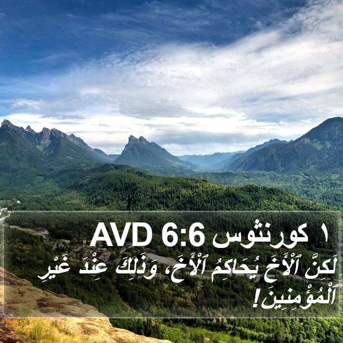 ١ كورنثوس 6:6 AVD Bible Study