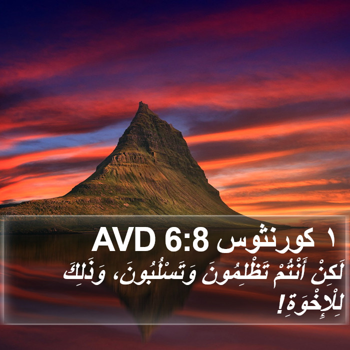 ١ كورنثوس 6:8 AVD Bible Study