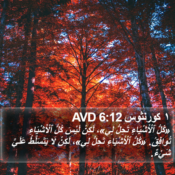 ١ كورنثوس 6:12 AVD Bible Study