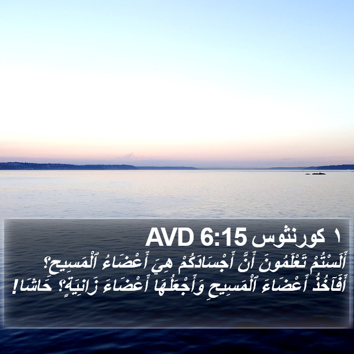 ١ كورنثوس 6:15 AVD Bible Study