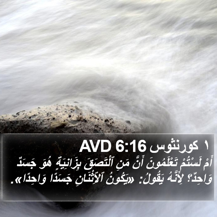 ١ كورنثوس 6:16 AVD Bible Study