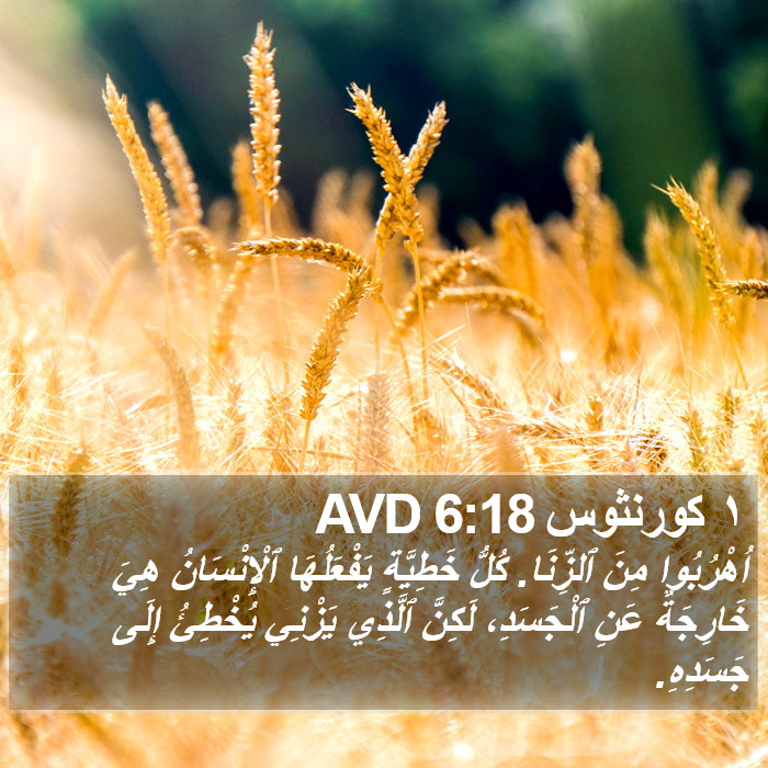 ١ كورنثوس 6:18 AVD Bible Study