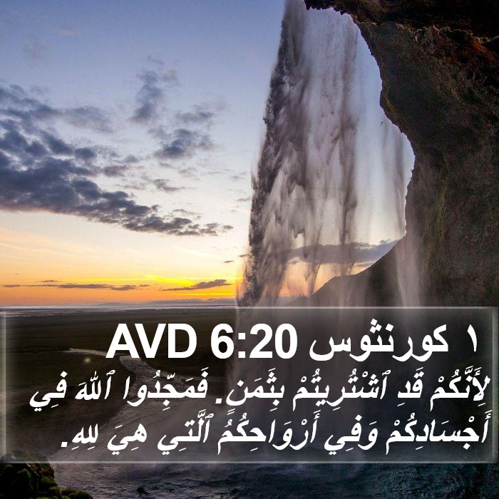 ١ كورنثوس 6:20 AVD Bible Study