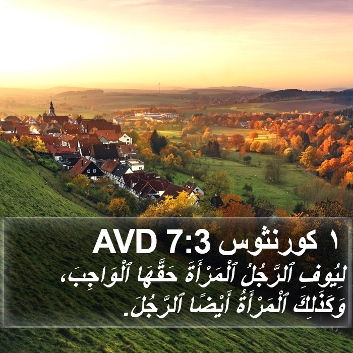 ١ كورنثوس 7:3 AVD Bible Study