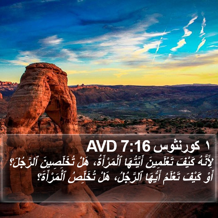 ١ كورنثوس 7:16 AVD Bible Study