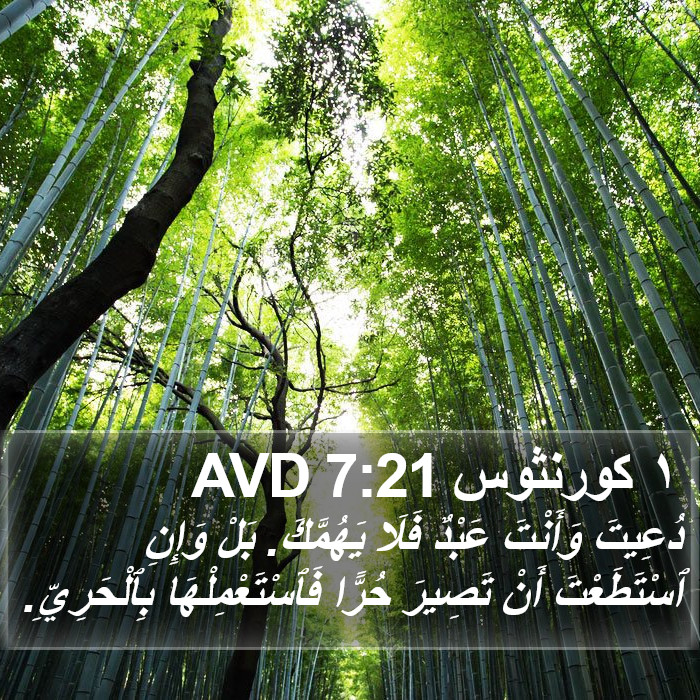 ١ كورنثوس 7:21 AVD Bible Study