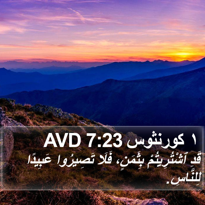 ١ كورنثوس 7:23 AVD Bible Study