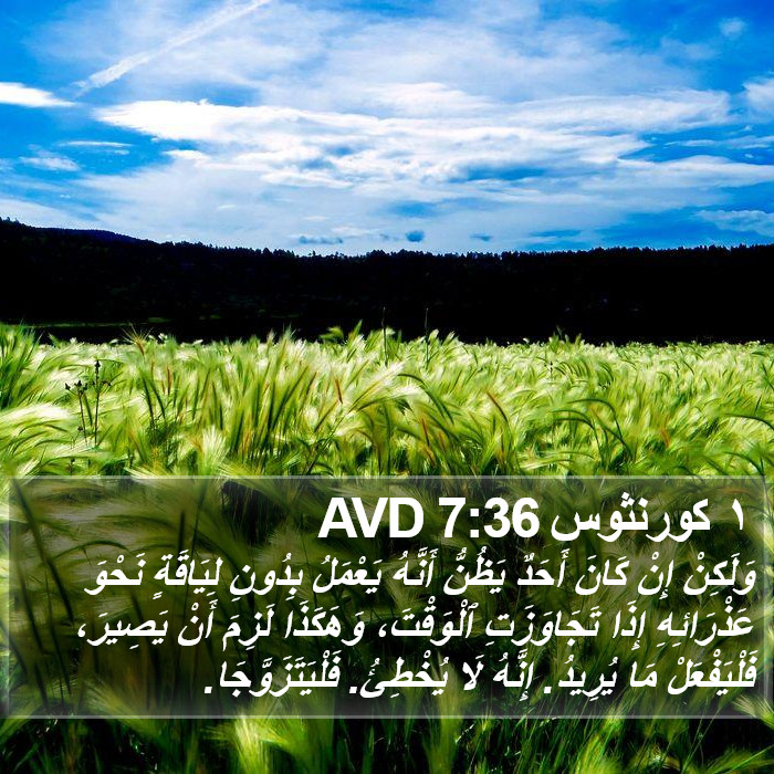 ١ كورنثوس 7:36 AVD Bible Study