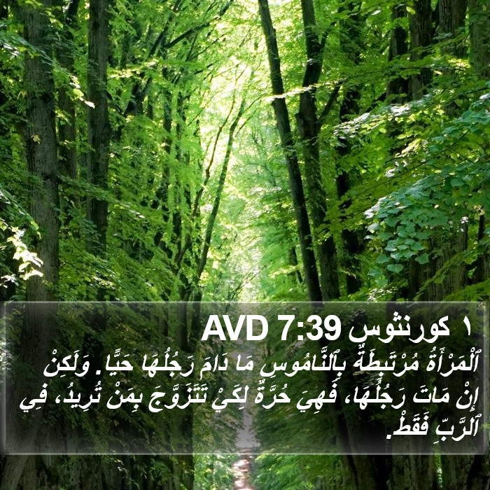 ١ كورنثوس 7:39 AVD Bible Study