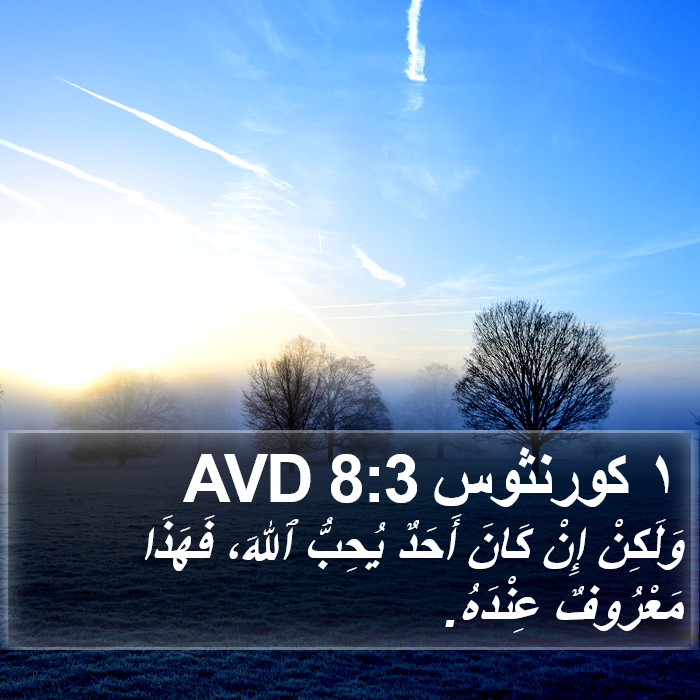 ١ كورنثوس 8:3 AVD Bible Study