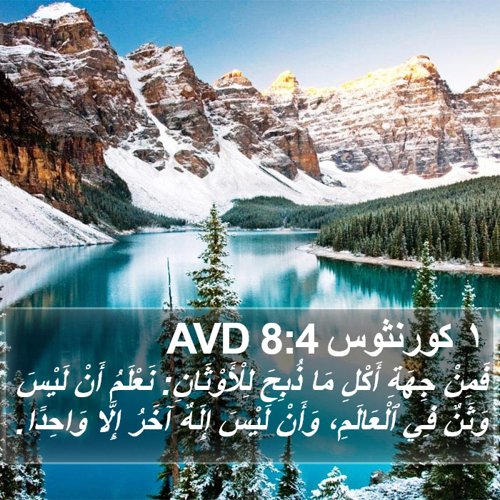 ١ كورنثوس 8:4 AVD Bible Study