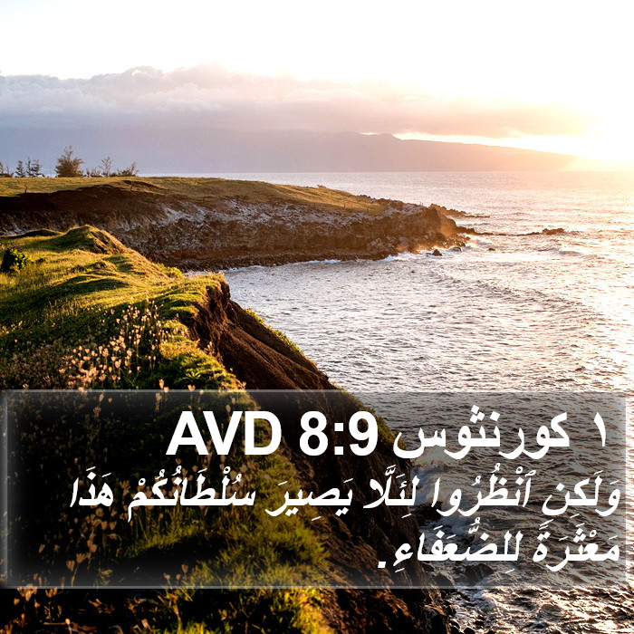 ١ كورنثوس 8:9 AVD Bible Study