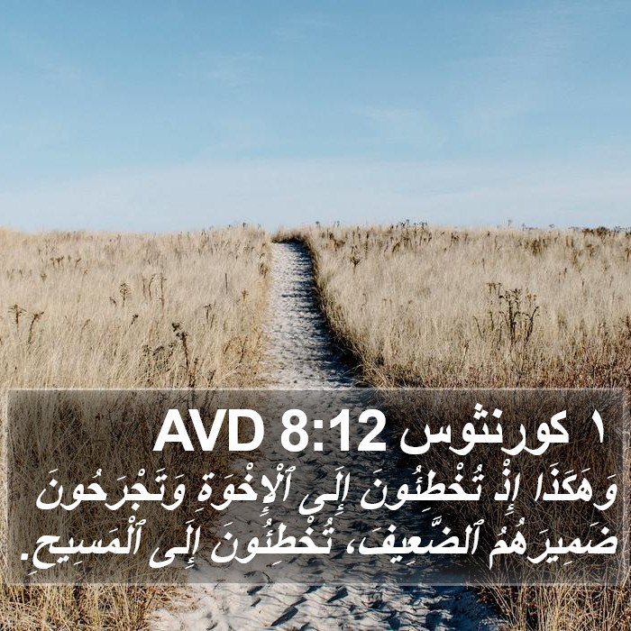 ١ كورنثوس 8:12 AVD Bible Study