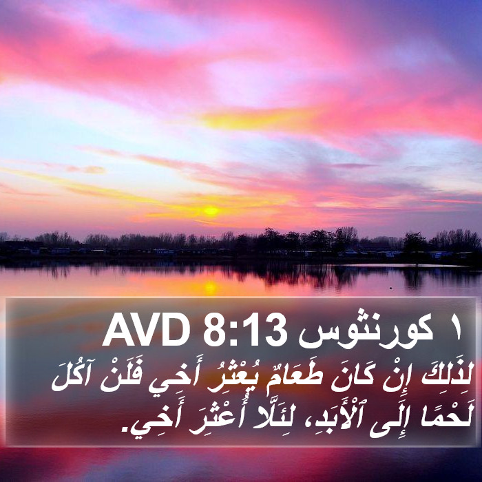 ١ كورنثوس 8:13 AVD Bible Study