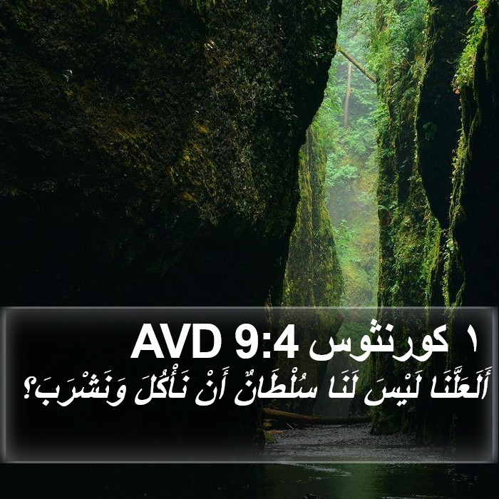 ١ كورنثوس 9:4 AVD Bible Study