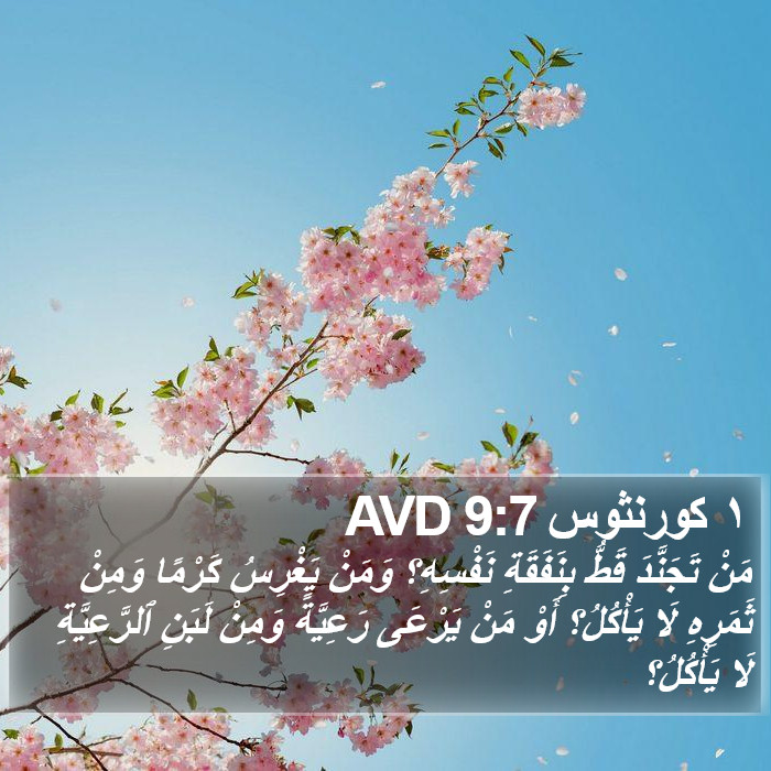 ١ كورنثوس 9:7 AVD Bible Study