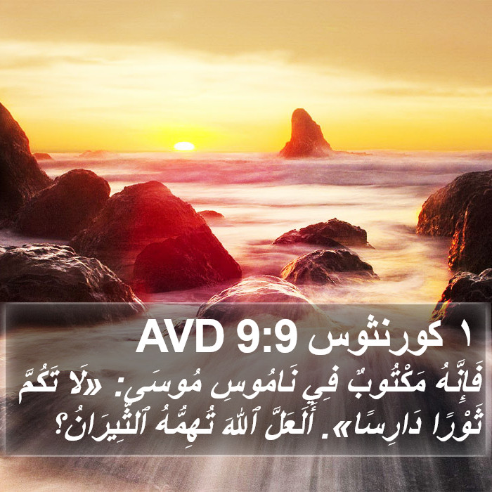 ١ كورنثوس 9:9 AVD Bible Study