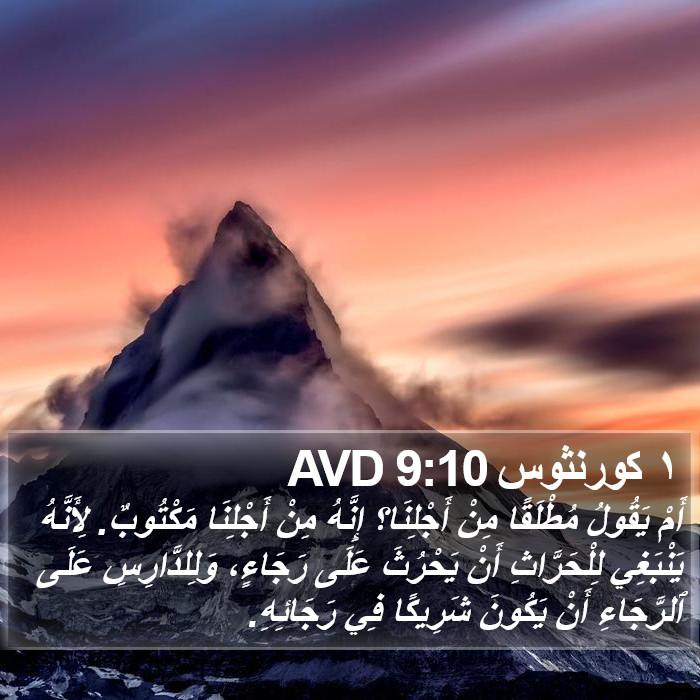 ١ كورنثوس 9:10 AVD Bible Study