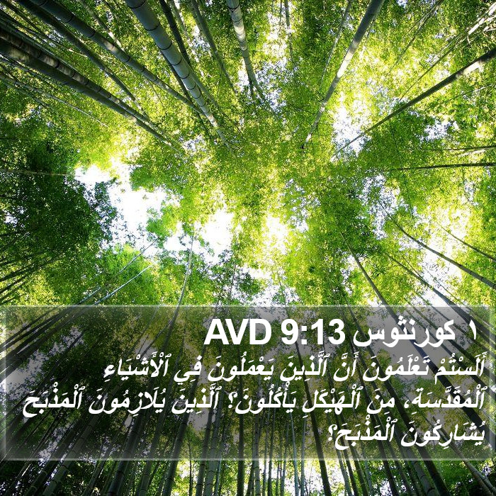 ١ كورنثوس 9:13 AVD Bible Study