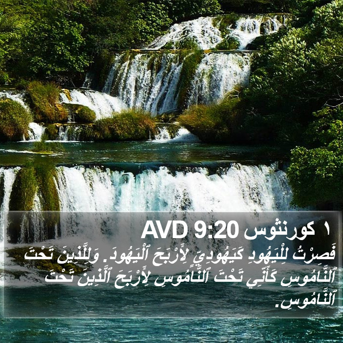 ١ كورنثوس 9:20 AVD Bible Study