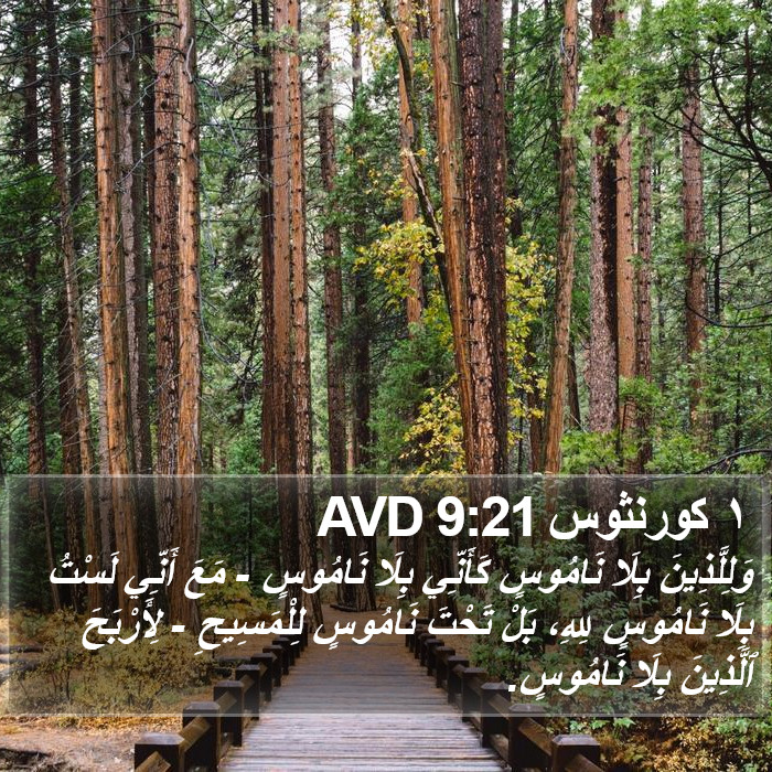 ١ كورنثوس 9:21 AVD Bible Study