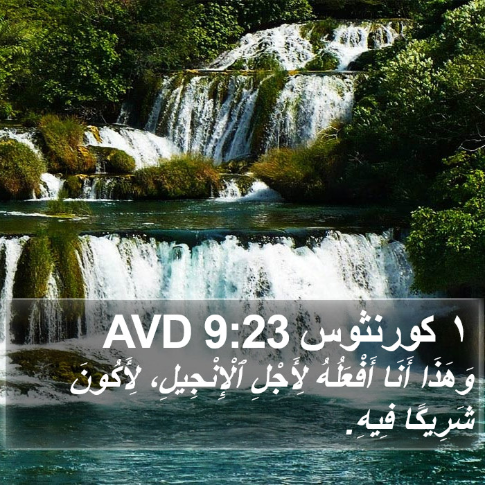 ١ كورنثوس 9:23 AVD Bible Study