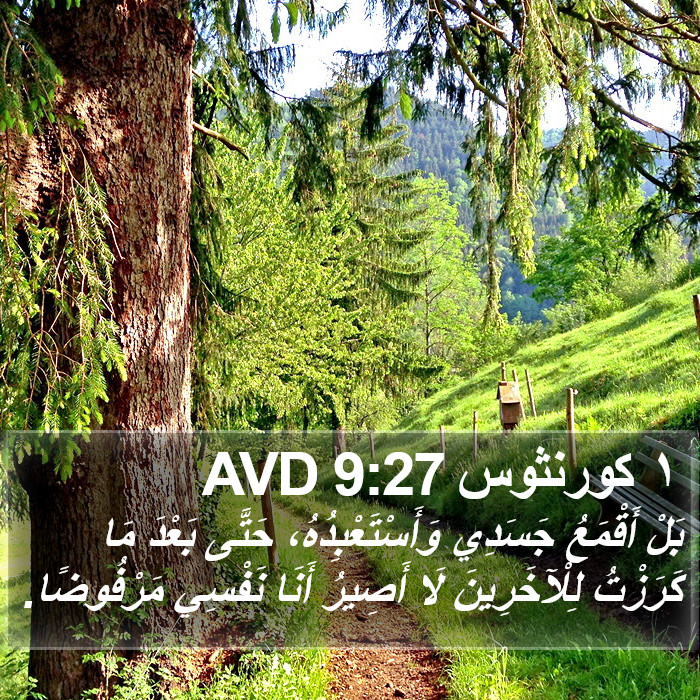 ١ كورنثوس 9:27 AVD Bible Study