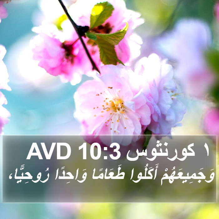 ١ كورنثوس 10:3 AVD Bible Study