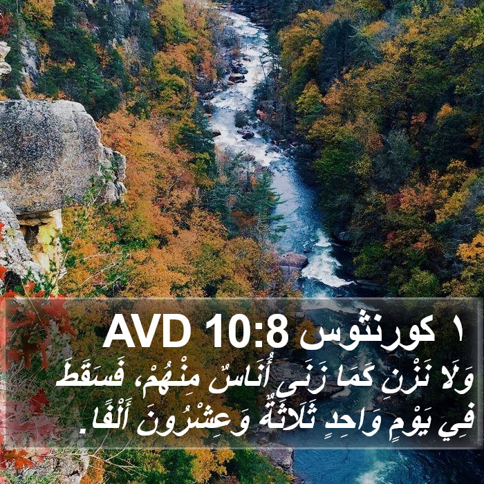 ١ كورنثوس 10:8 AVD Bible Study