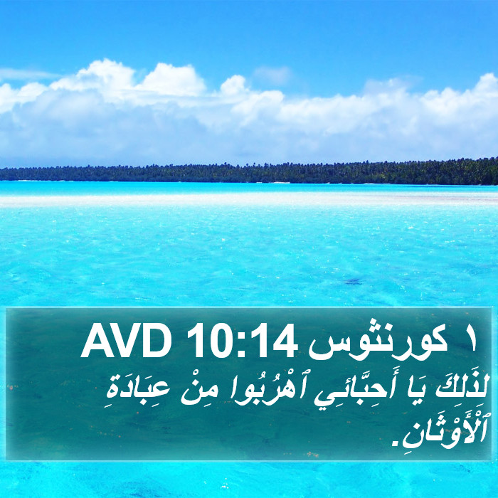 ١ كورنثوس 10:14 AVD Bible Study