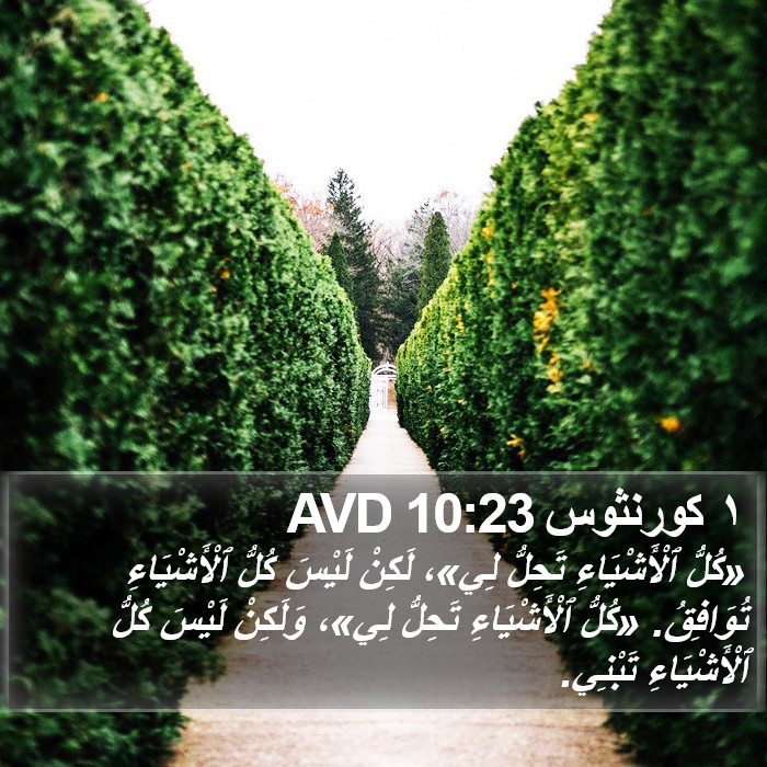 ١ كورنثوس 10:23 AVD Bible Study