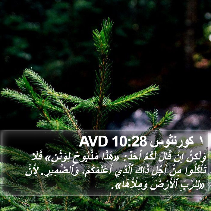 ١ كورنثوس 10:28 AVD Bible Study