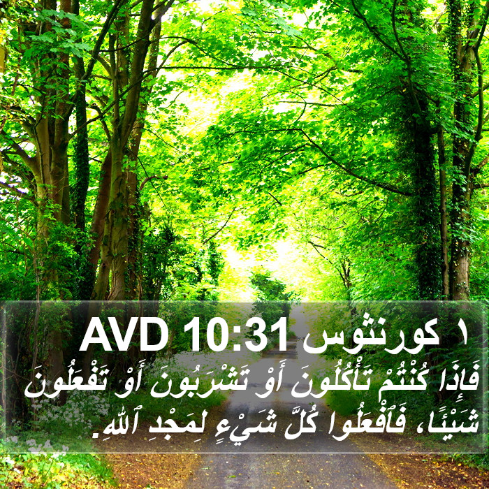 ١ كورنثوس 10:31 AVD Bible Study