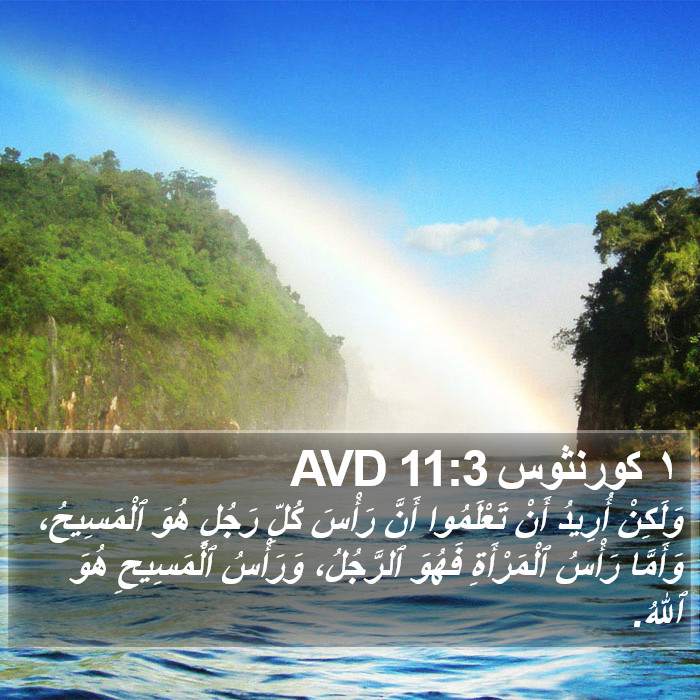 ١ كورنثوس 11:3 AVD Bible Study