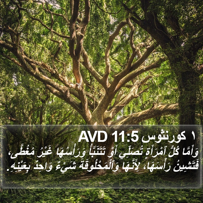 ١ كورنثوس 11:5 AVD Bible Study