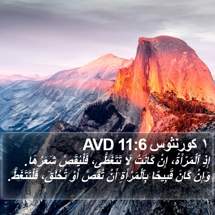 ١ كورنثوس 11:6 AVD Bible Study