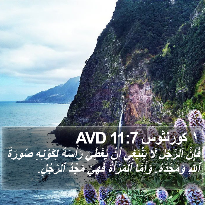 ١ كورنثوس 11:7 AVD Bible Study