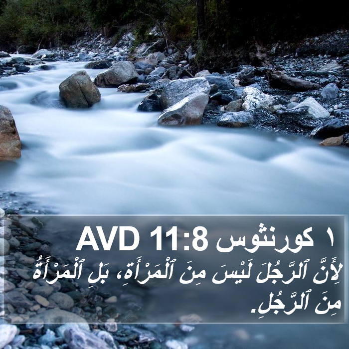 ١ كورنثوس 11:8 AVD Bible Study