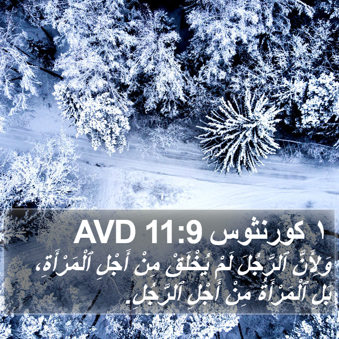 ١ كورنثوس 11:9 AVD Bible Study