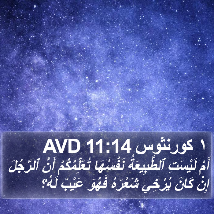 ١ كورنثوس 11:14 AVD Bible Study