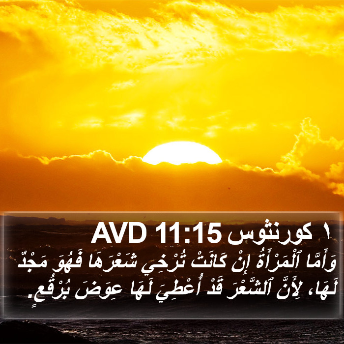 ١ كورنثوس 11:15 AVD Bible Study